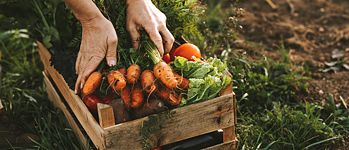 Foodsharing im Deutschunterricht